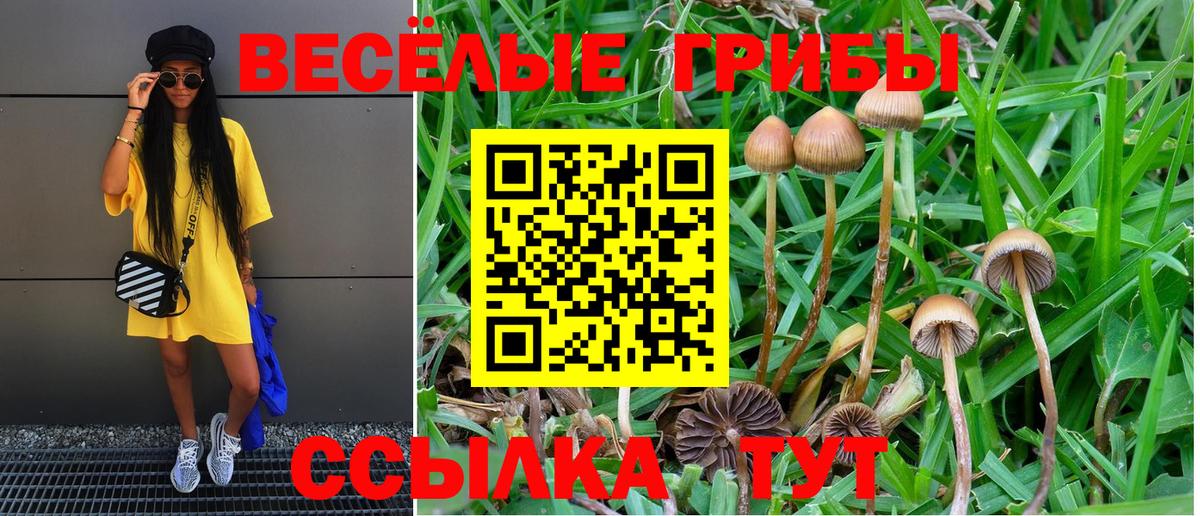 Галлюциногенные грибы MAGIC MUSHROOMS Арсеньев